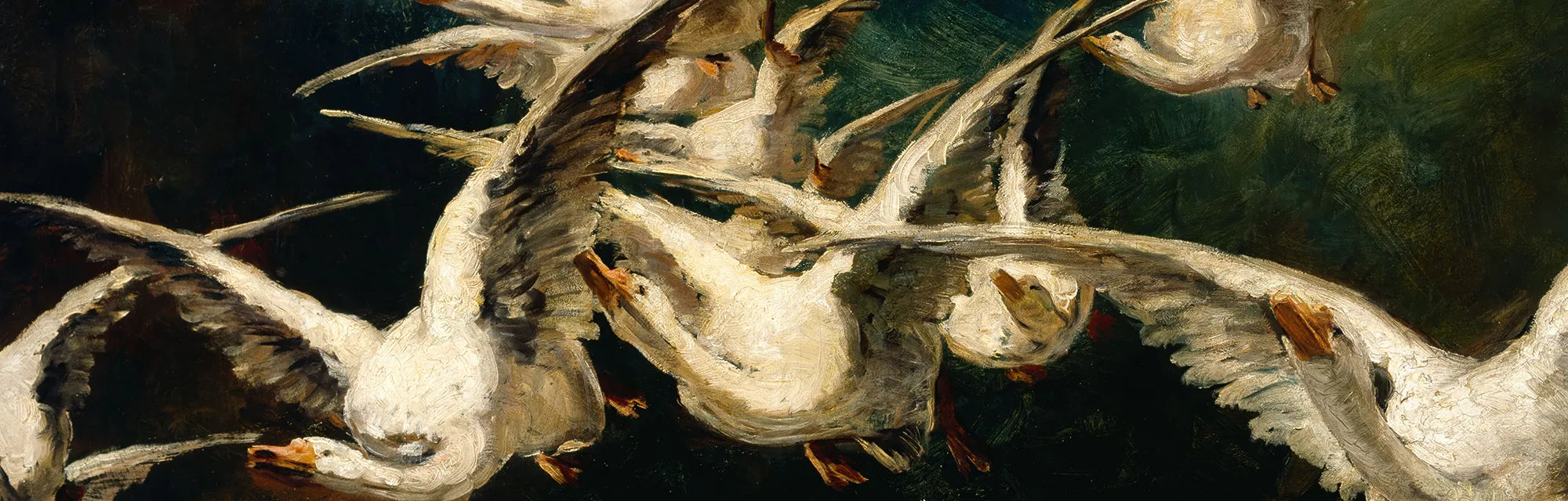 Elizabeth Nourse