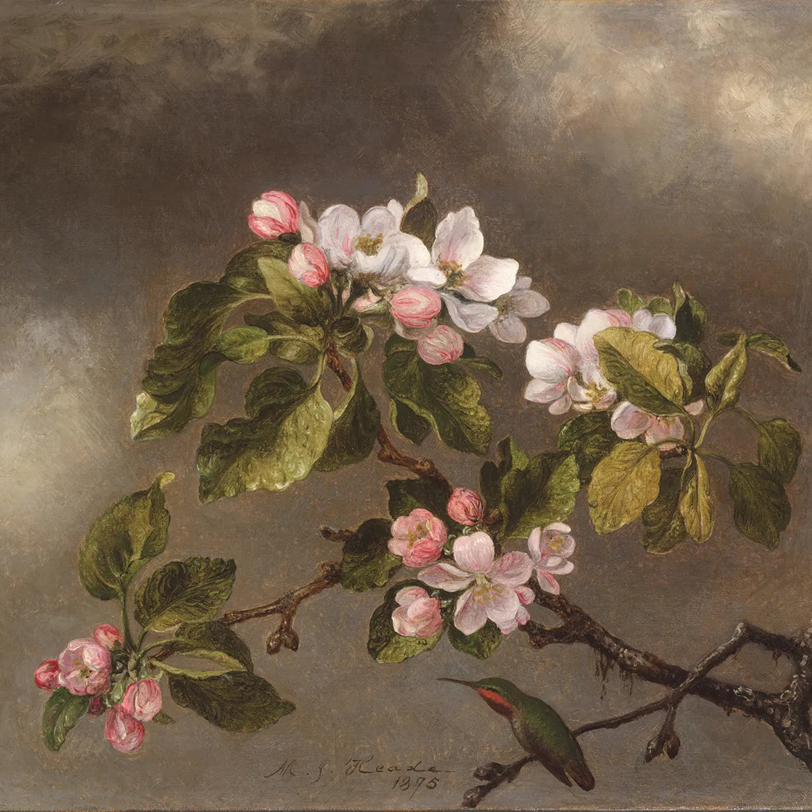 Hummingbird and Apple Blossoms