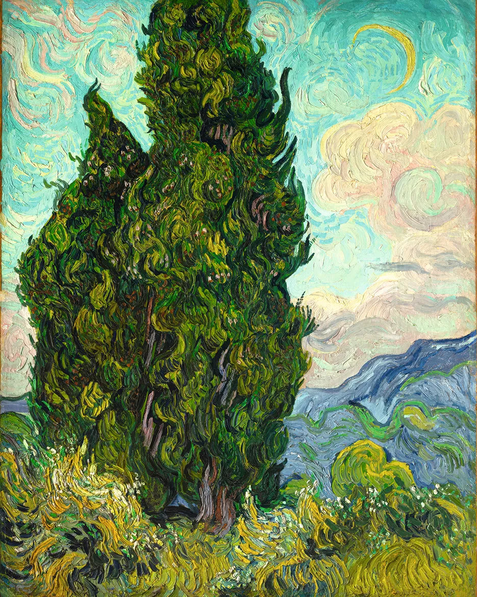 Cypresses