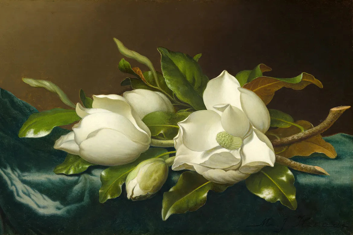 Magnolias on Light Blue Velvet Cloth