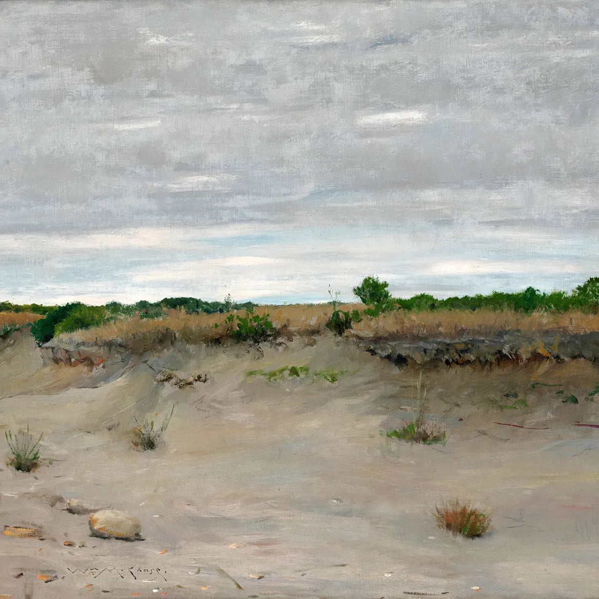 Wind-Swept Sands
