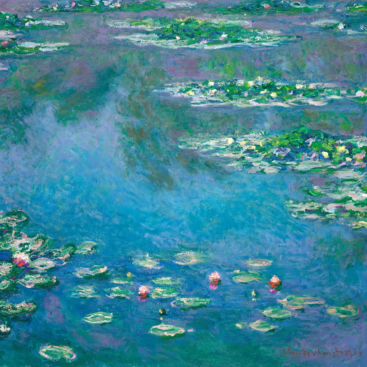 Water Lilies