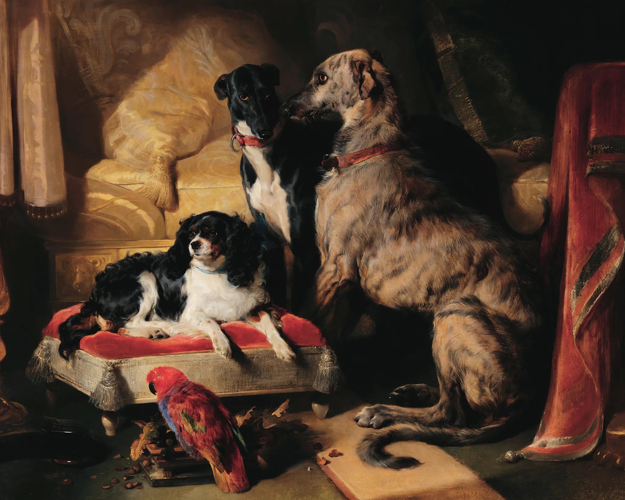 Hector, Nero, and Dash with the parrot, Lory