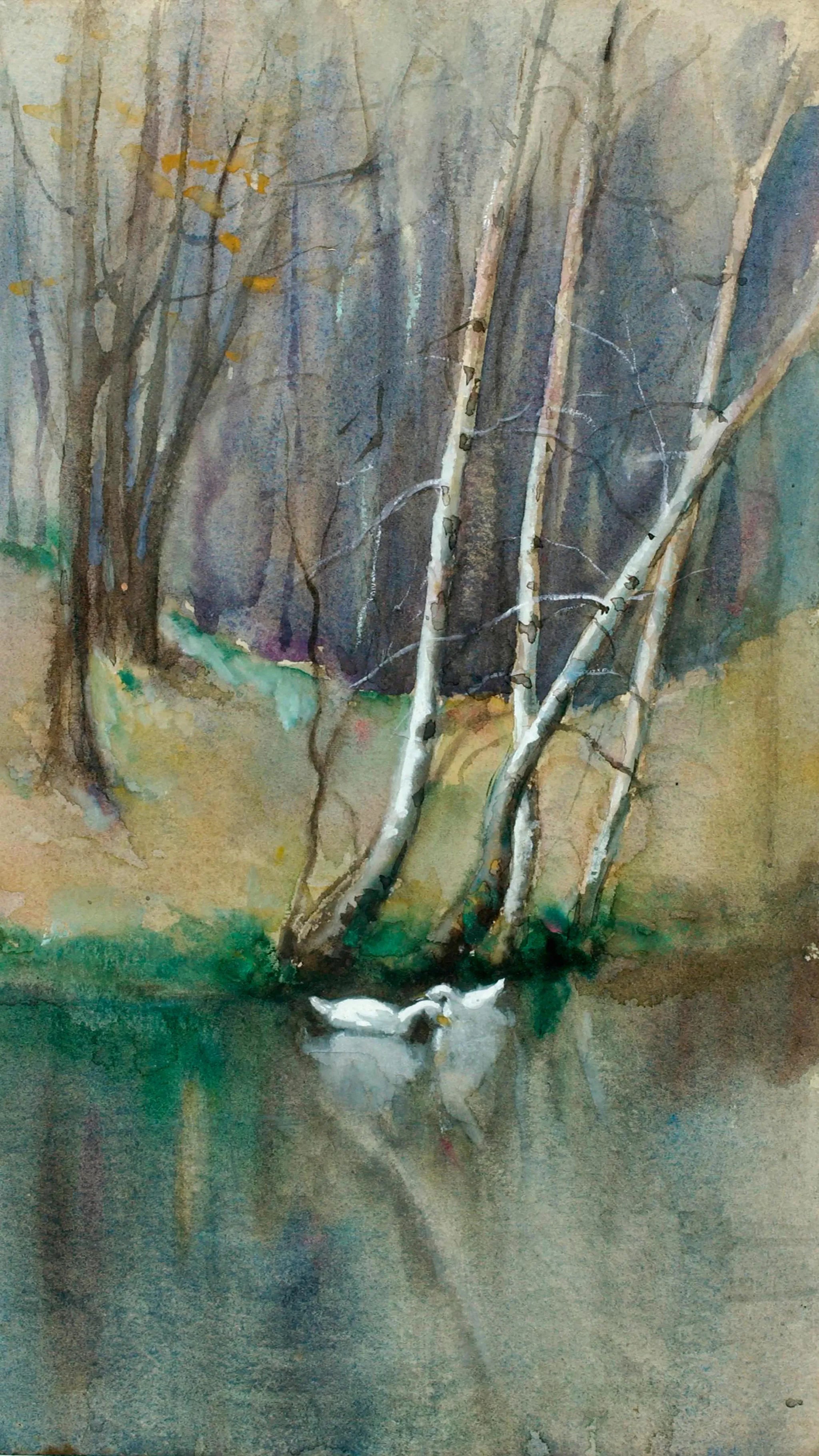 Untitled (Wood Scene with Birch Trees and Ducks)