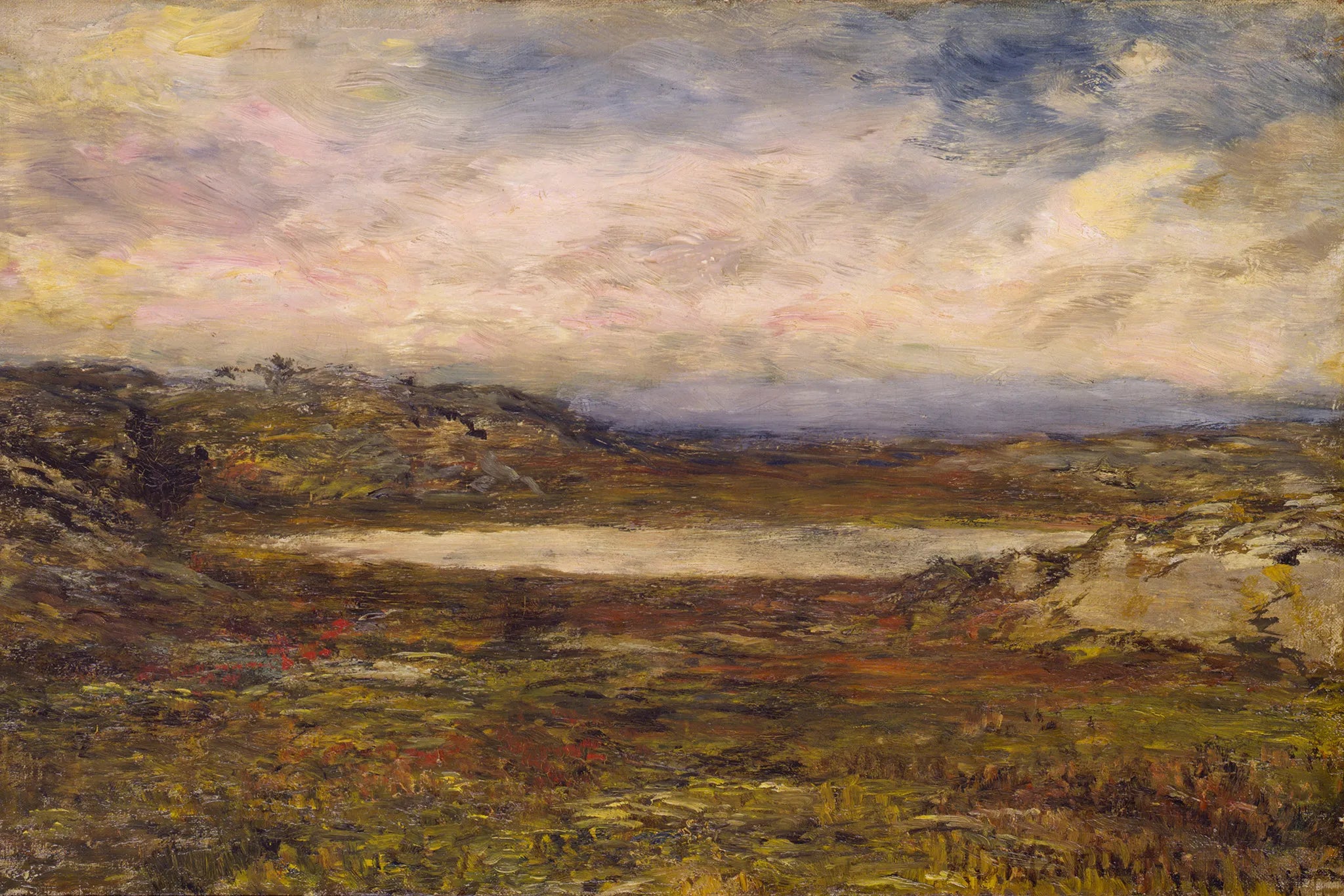 Wild Coast, Newport