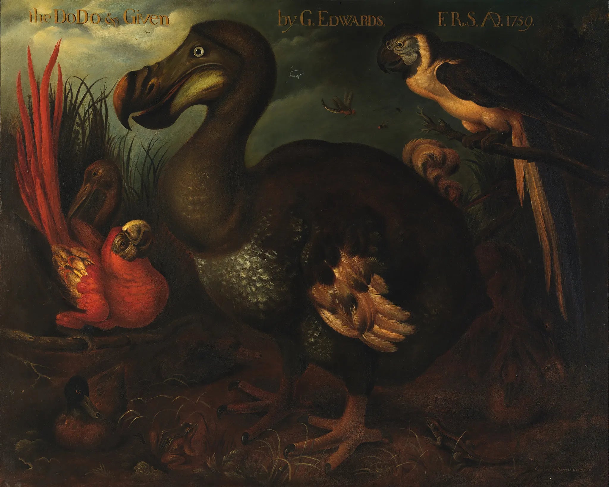 The Dodo and Given