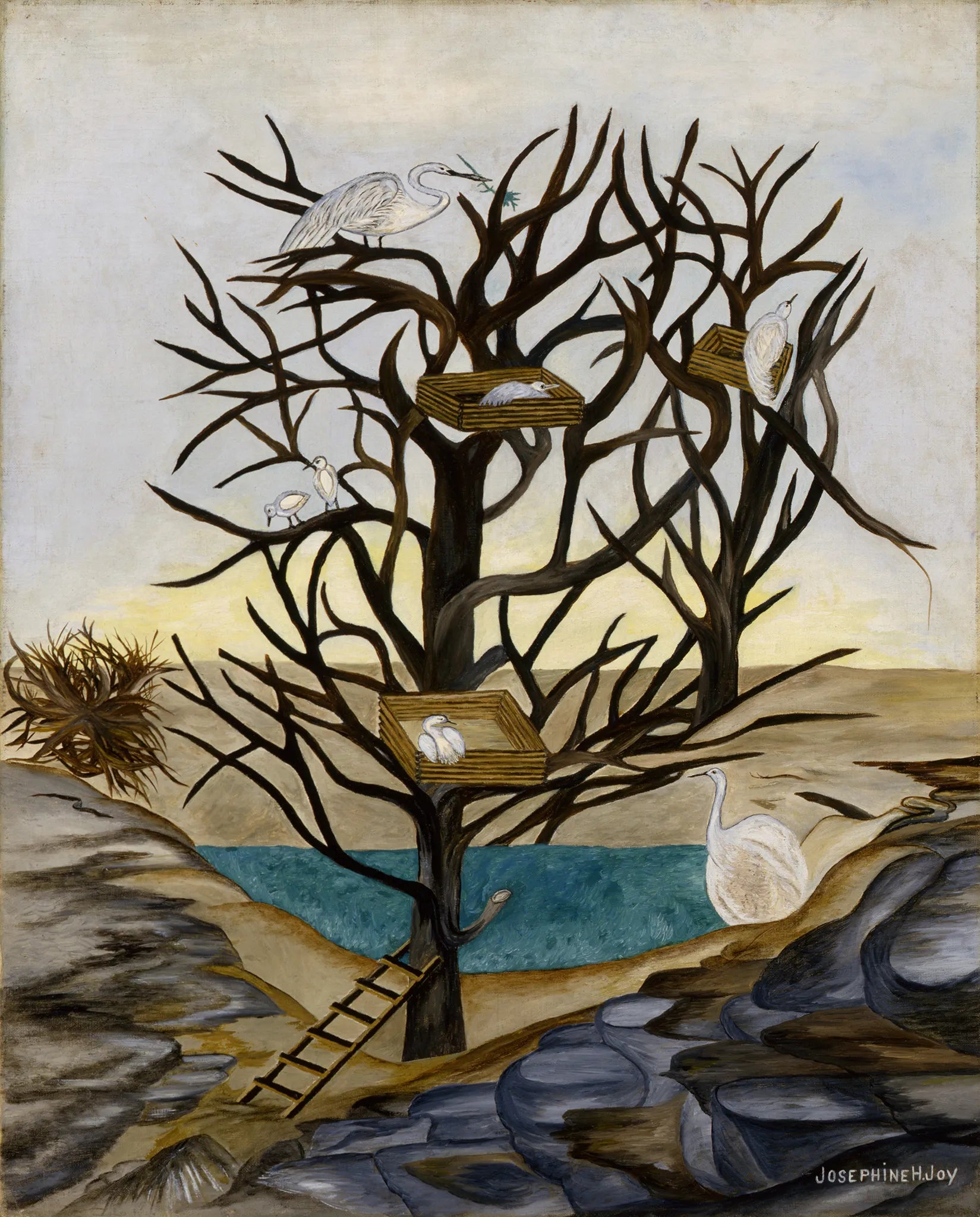 Waterbirds Nesting