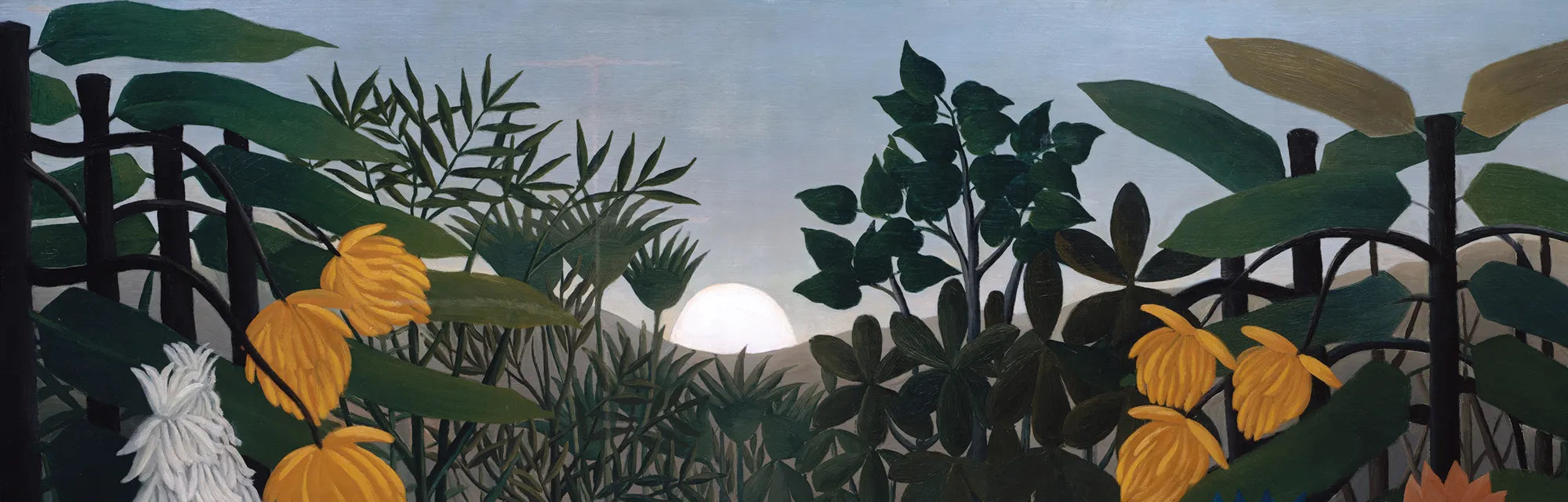 Nature & Landscapes