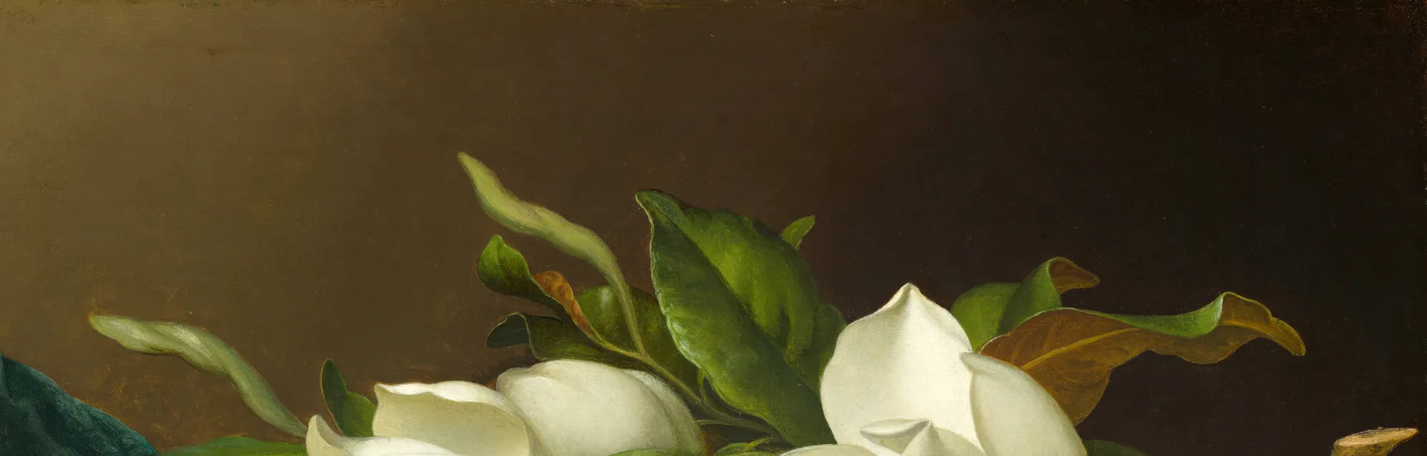 Martin Johnson Heade