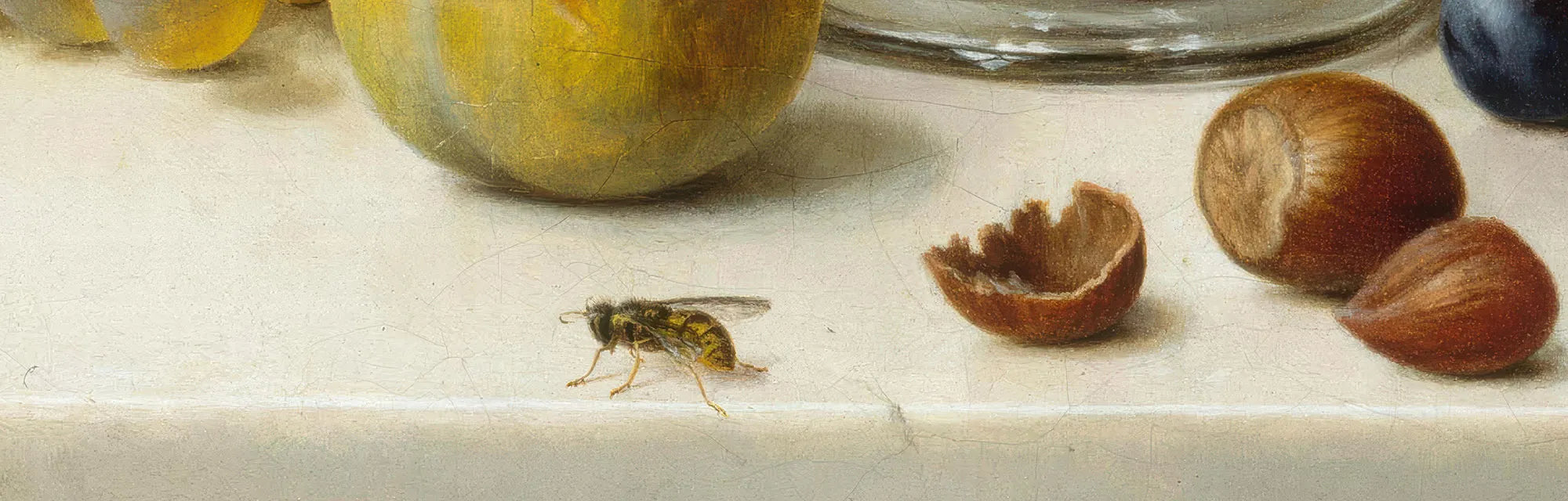 Helen Searle