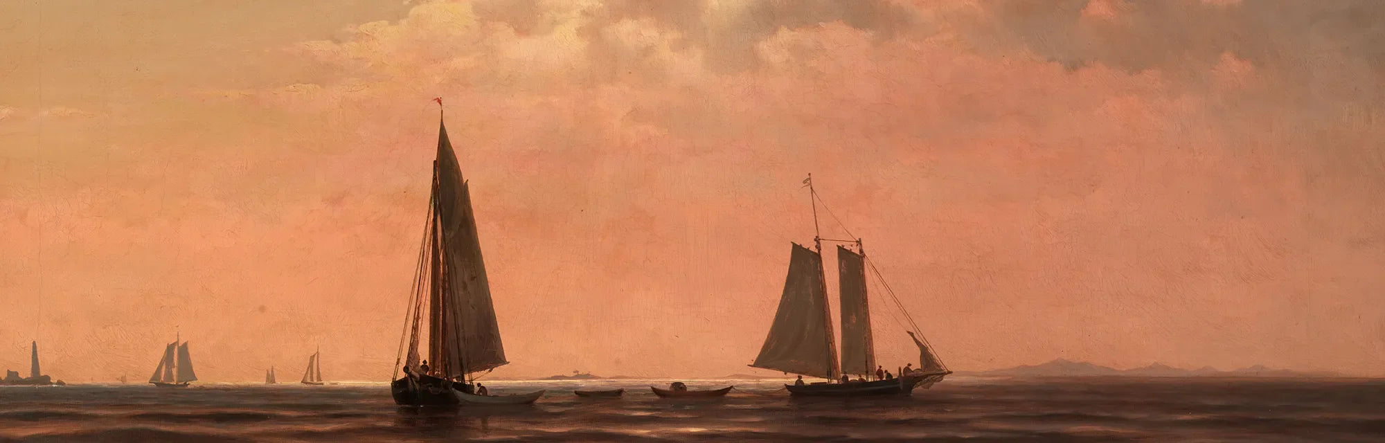 William Frederick de Haas