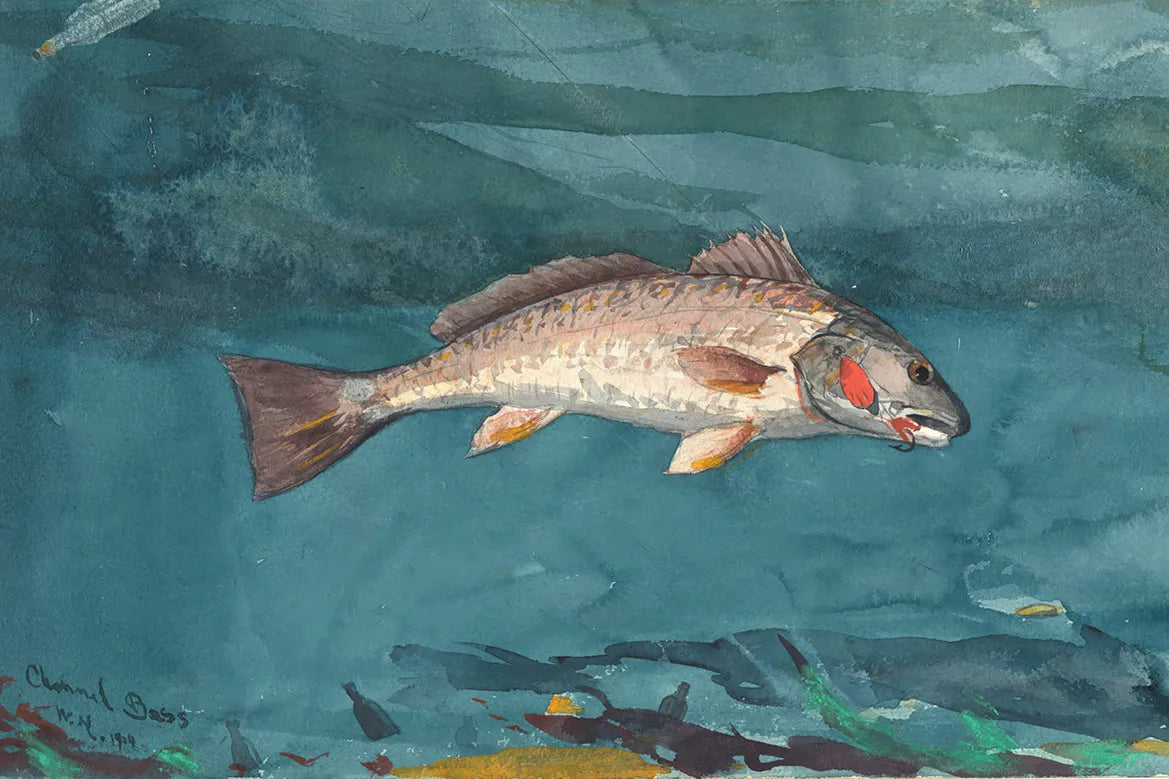 Channel Bass