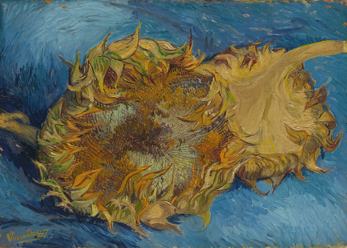 Sonnenblumen