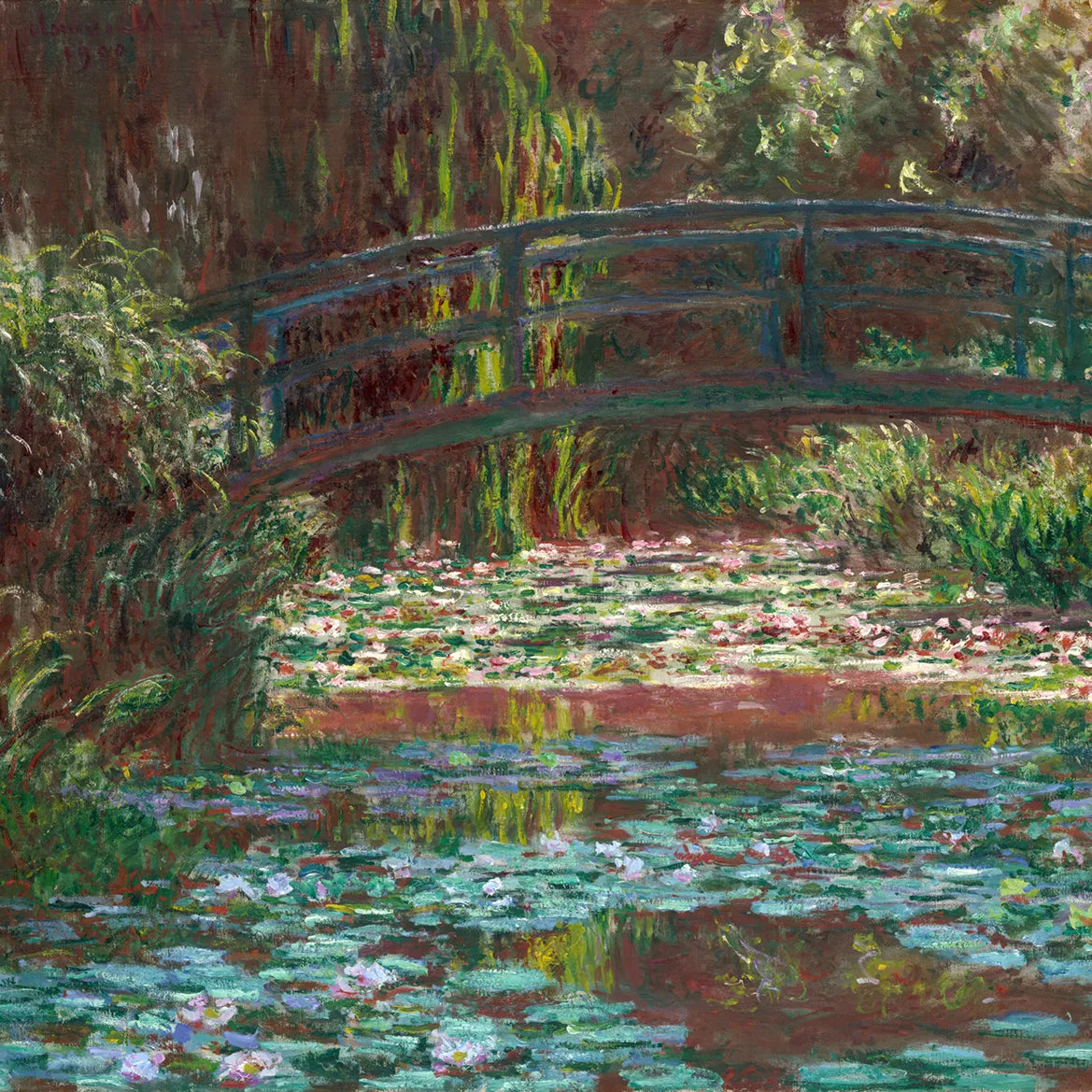 Water Lily Pond