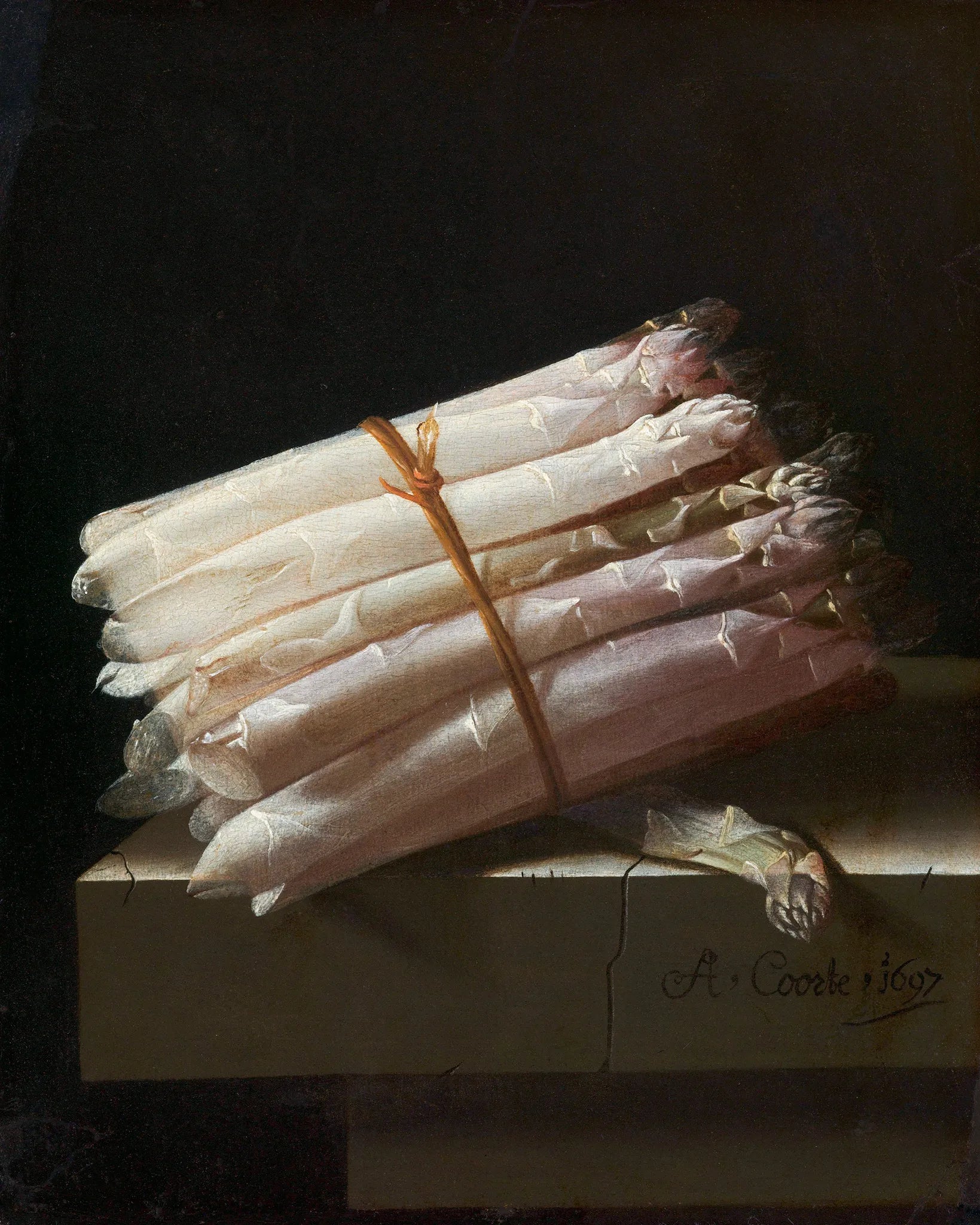 Still Life with Asparagus