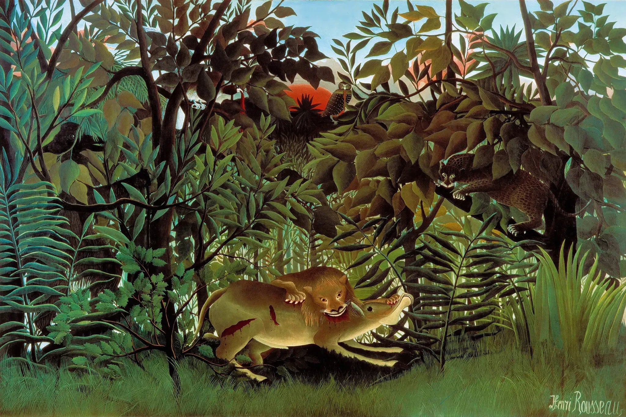 The Hungry Lion Attacking An Antelope
