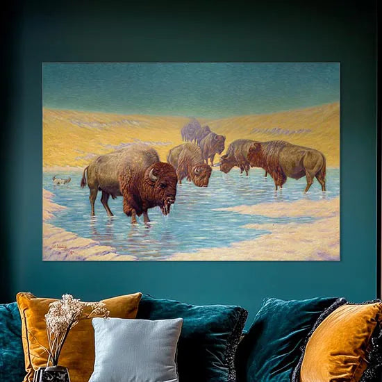 Buffalo Scene