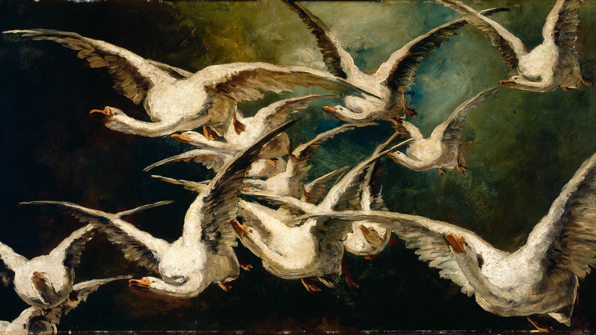 Flock of Geese