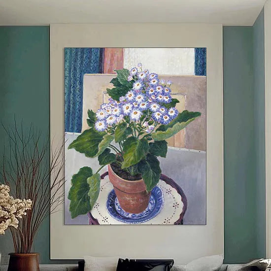 Cineraria