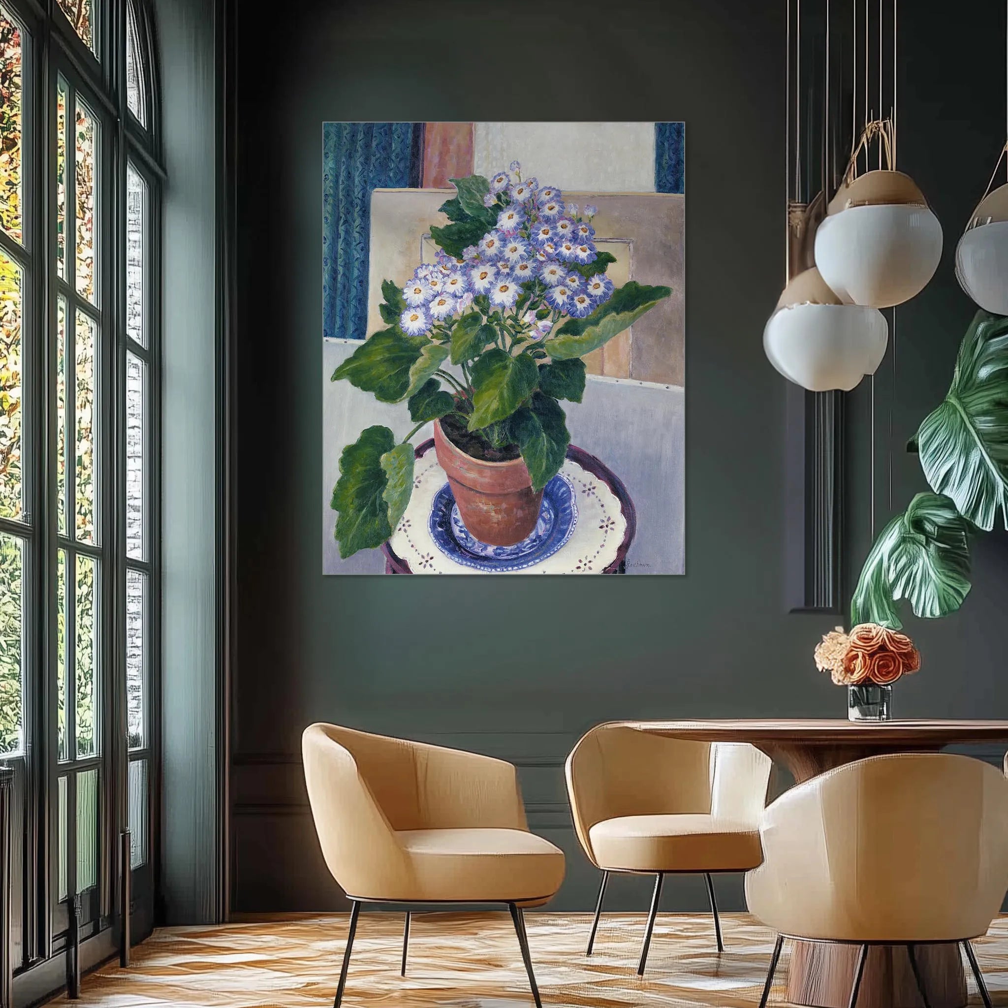Cineraria