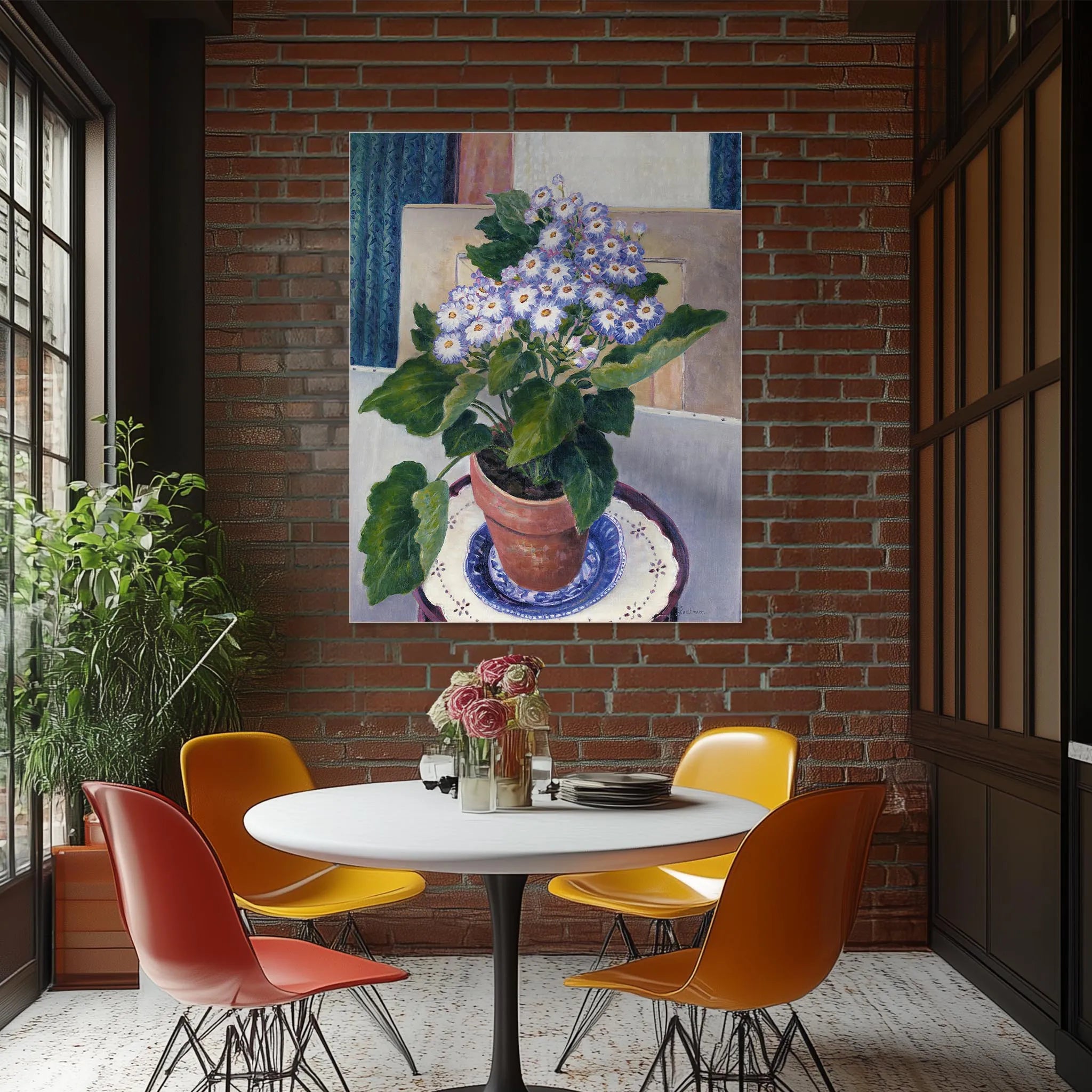 Cineraria
