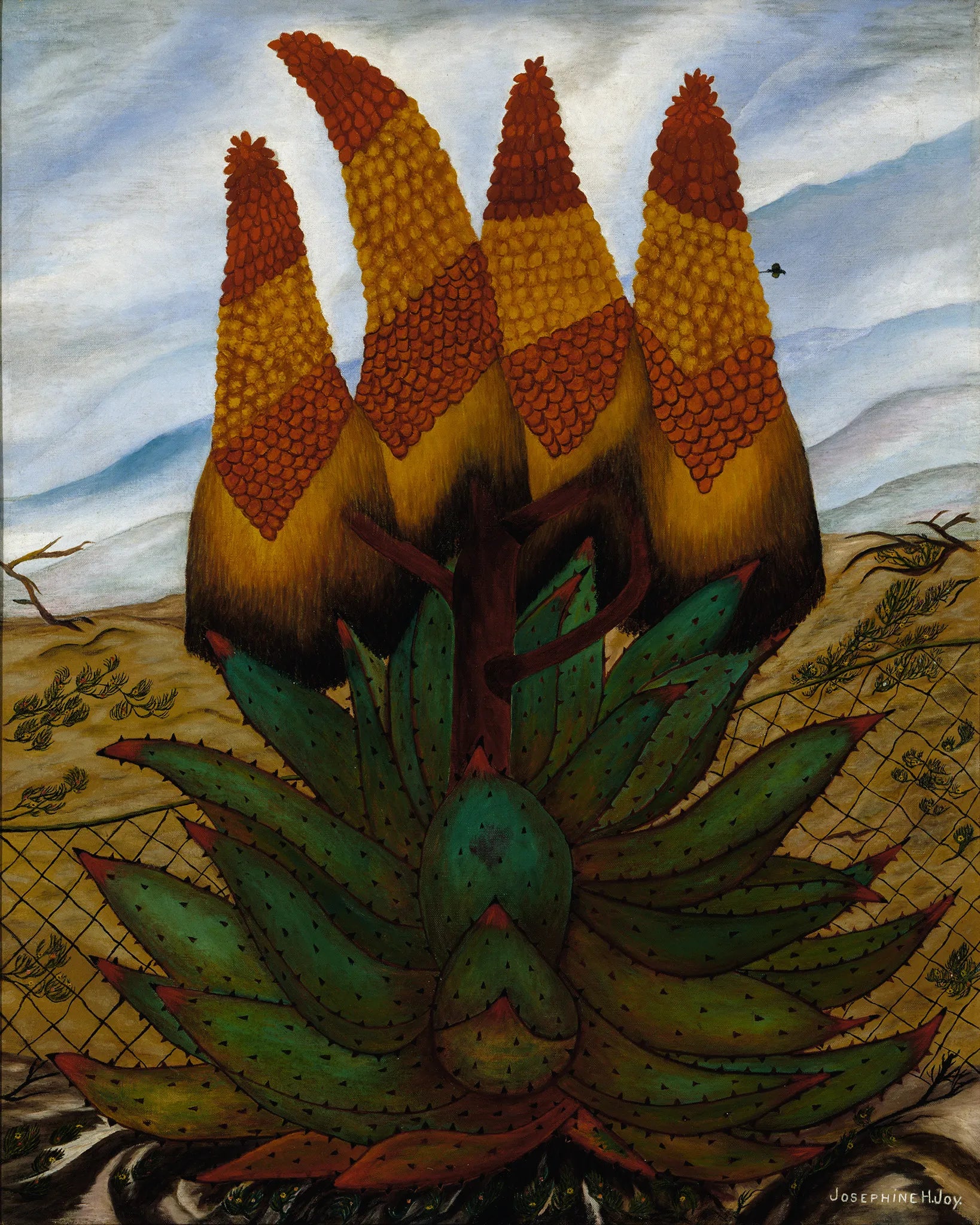 Aloes